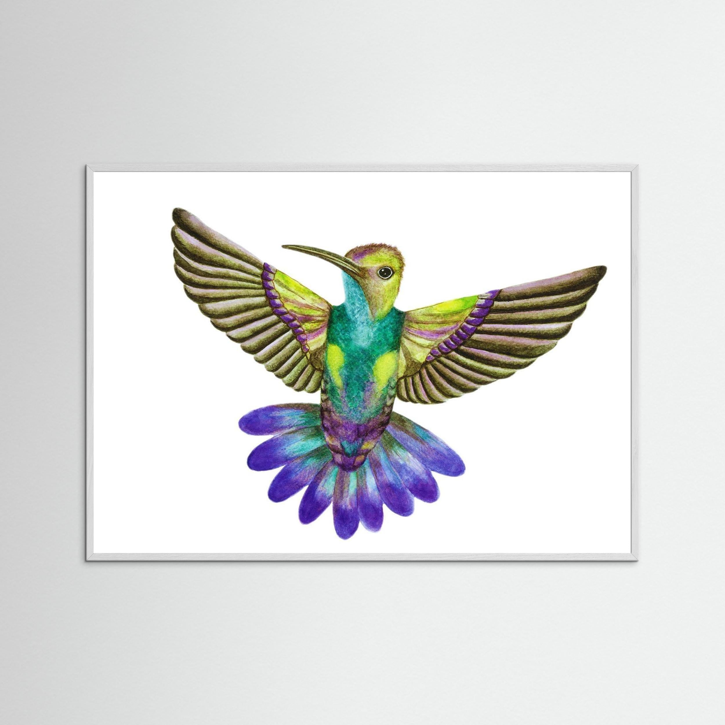 Colibri