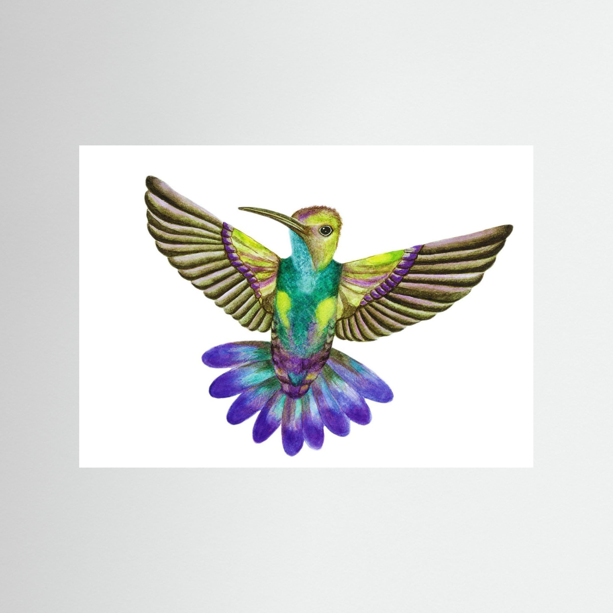 Colibri