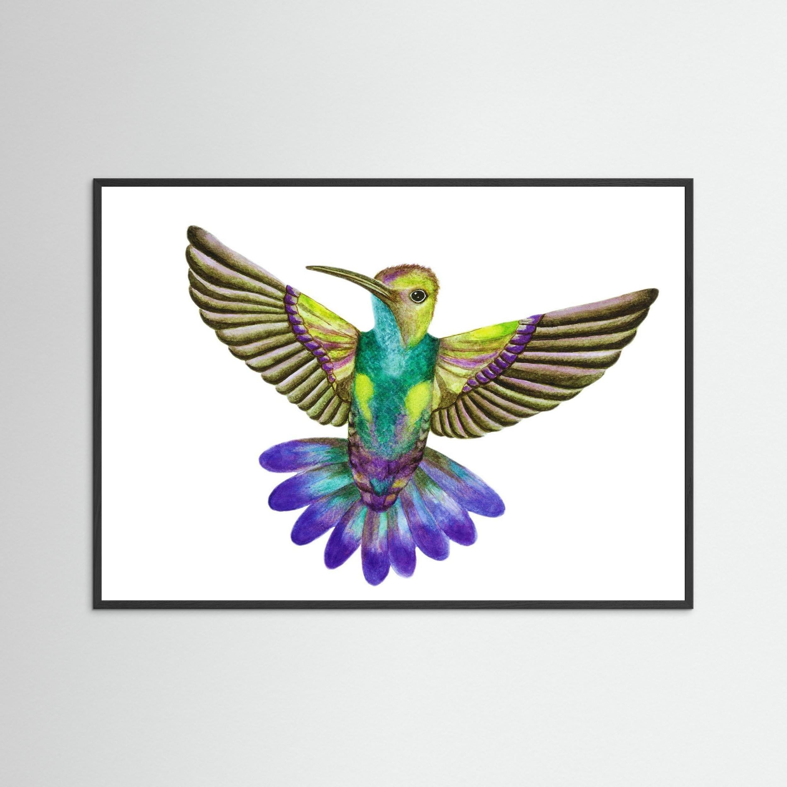 Colibri