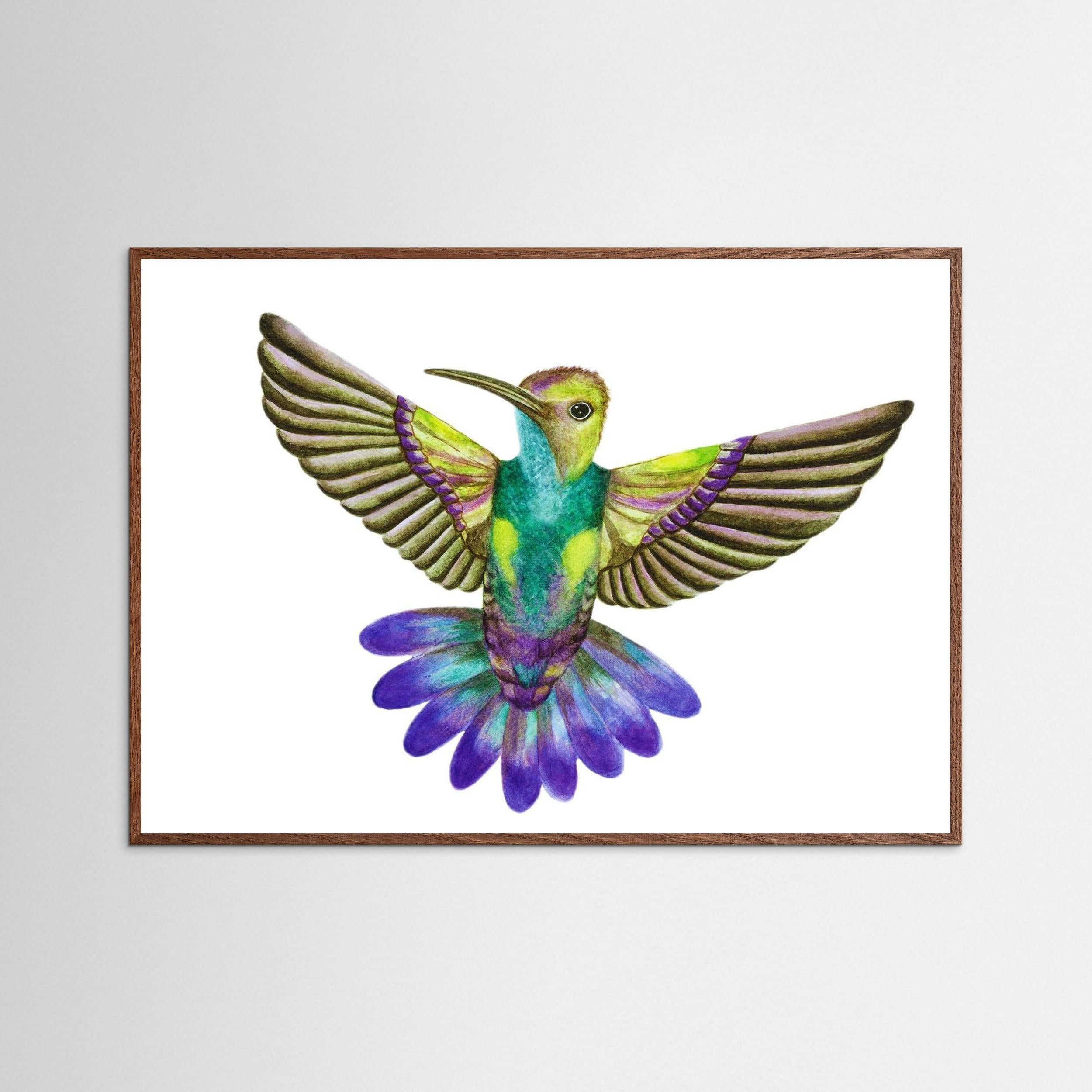 Colibri