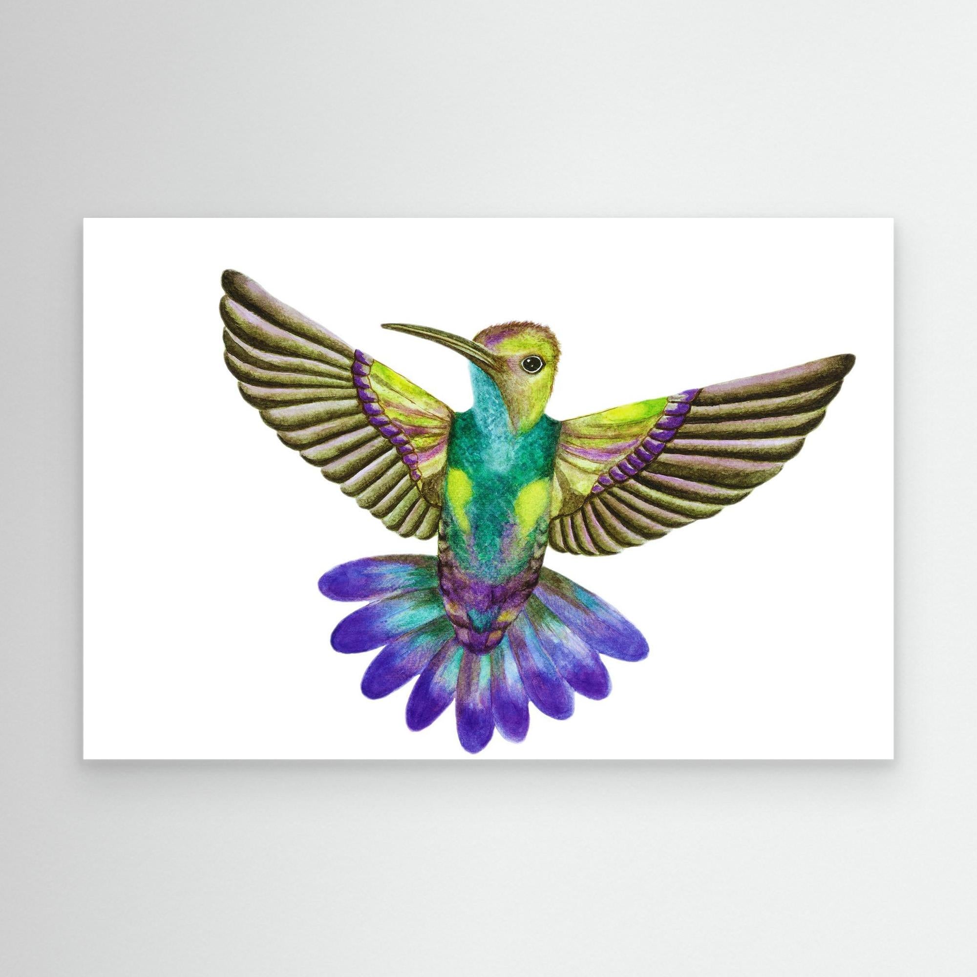 Colibri